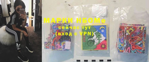 соль ск Белокуриха
