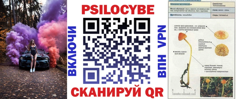 Псилоцибиновые грибы Psilocybine cubensis ссылка на мегу как зайти Кяхта хочу наркоту